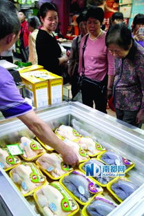 廣州66個(gè)檔口開售冰鮮雞，市民反應(yīng)各異 有人觀望，有人直呼“太貴了！”